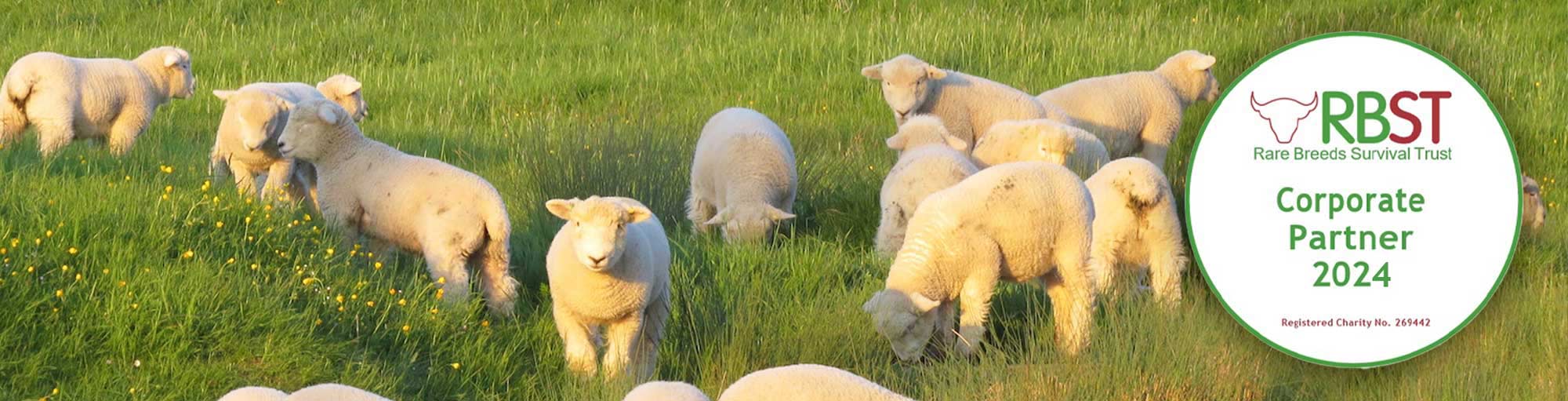 rare breed wool duvets