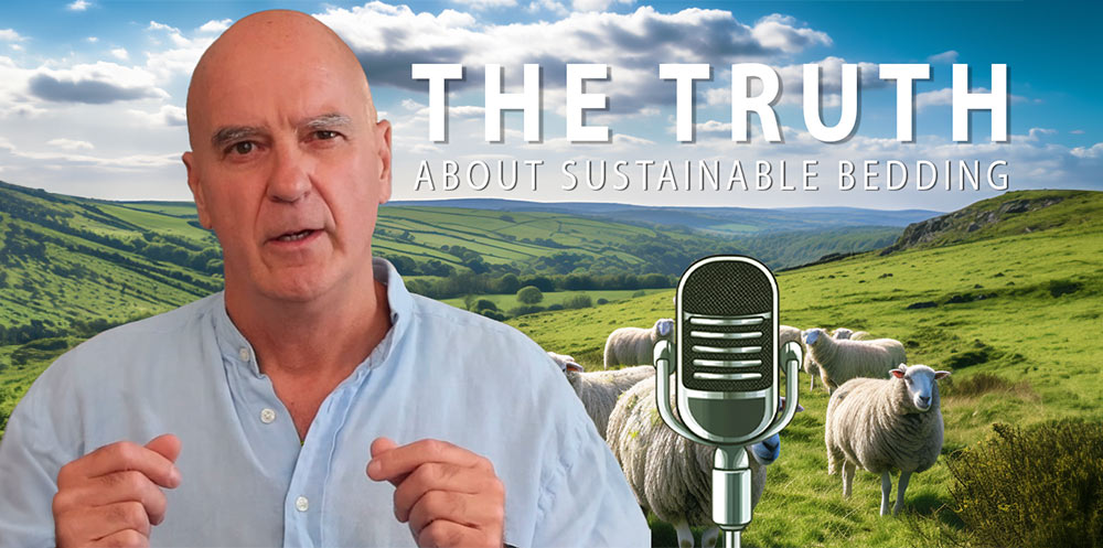 Thumbnail for Devon Duvets video titled 'Why Wool Matters: The Truth About Sustainable Bedding'. Image features a wool duvet, a sheep in a field, and the text 'Sustainable Bedding' in bold, showcasing natural materials and eco-friendly bedding.