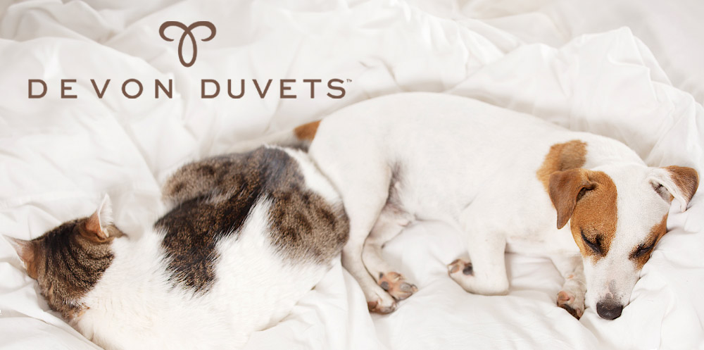 Devon duvets wool pet beds