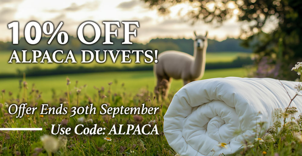 Experience the warmth of alpaca duvets – Eco-friendly, hypoallergenic bedding now on sale.