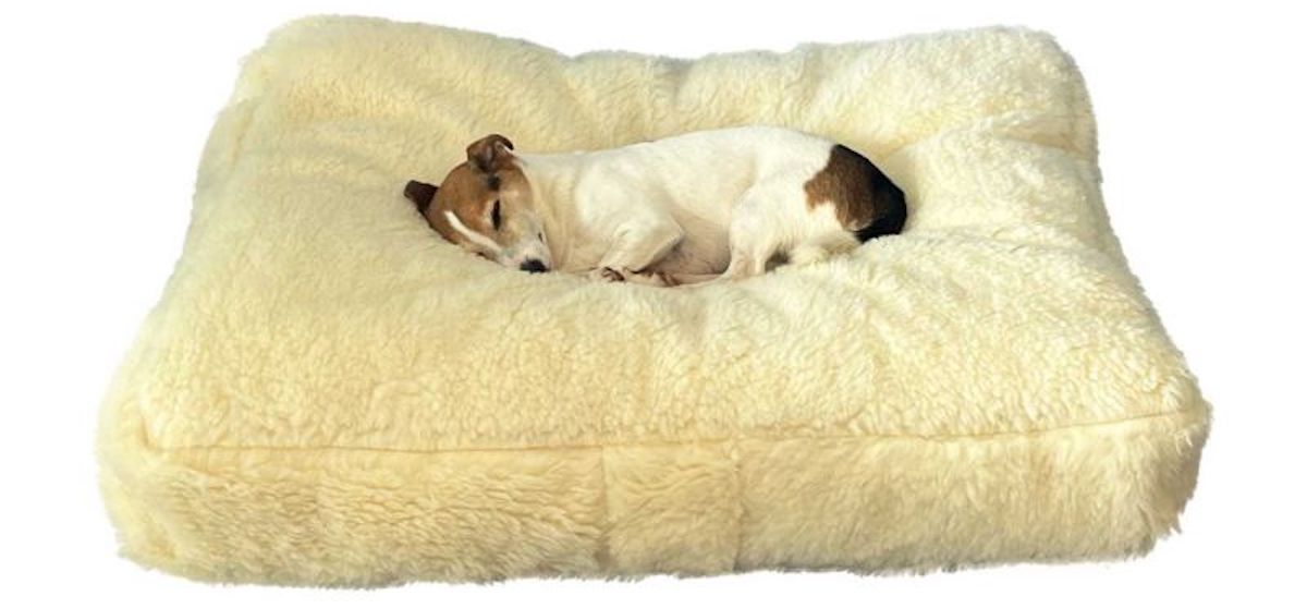 dog sleeping on a wool pet bed