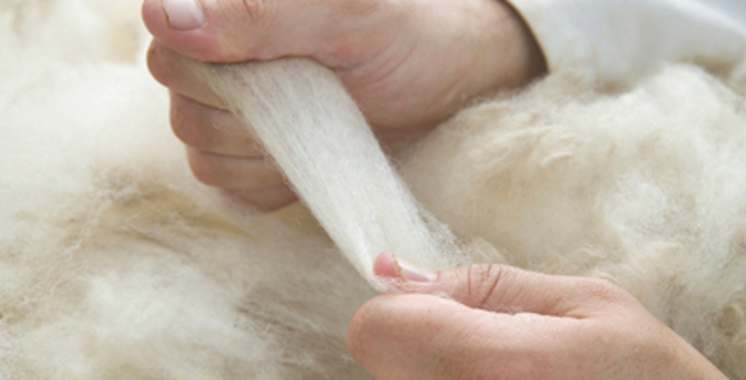 grading wool in British sheep