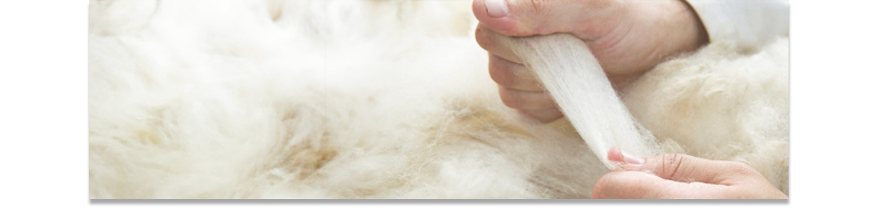 Traditional British wool mill practicing ethical and sustainable production methods.