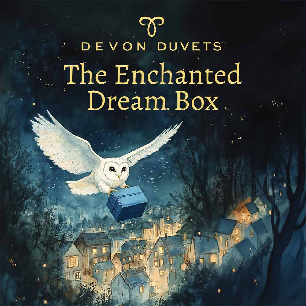 Bedtime story on the enchanted dream box book cover.